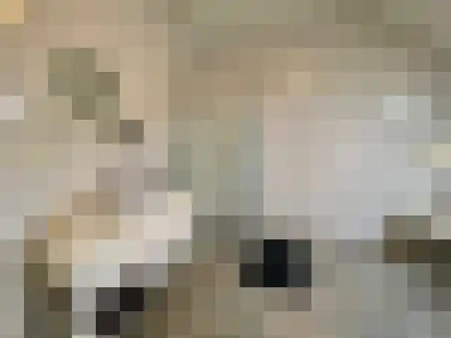 Molenstraat Noord 2 c Stevensweert thumbnail 4
