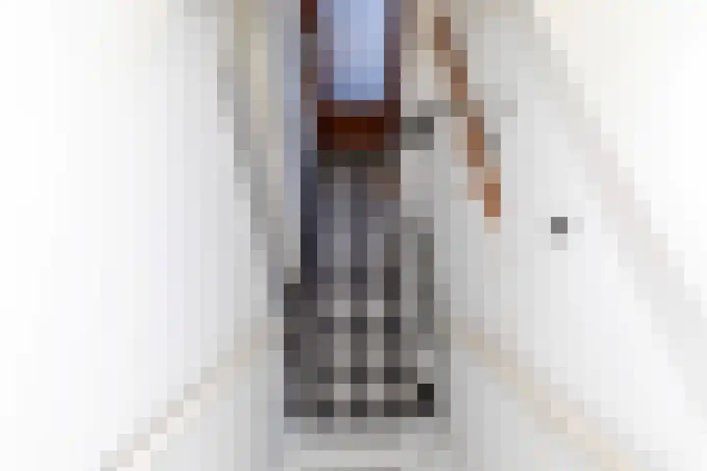 Molenstraatje 28 Tiel thumbnail 21