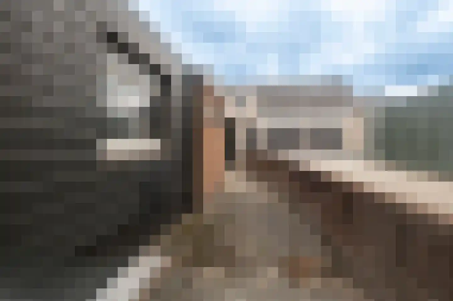 Molenstraatje 31 Tiel thumbnail 17
