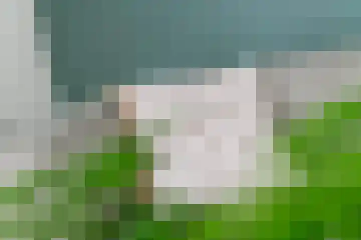 Molenstraatje 41 Tiel thumbnail 10