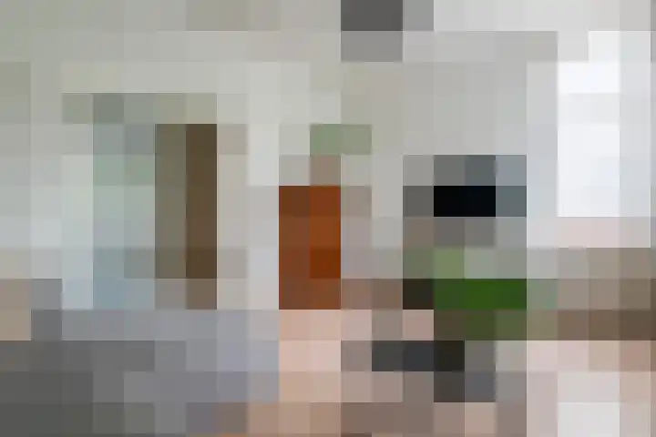Molenstraatje 41 Tiel thumbnail 11