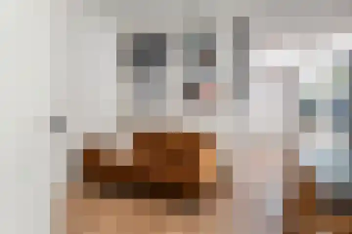 Molenstraatje 41 Tiel thumbnail 16