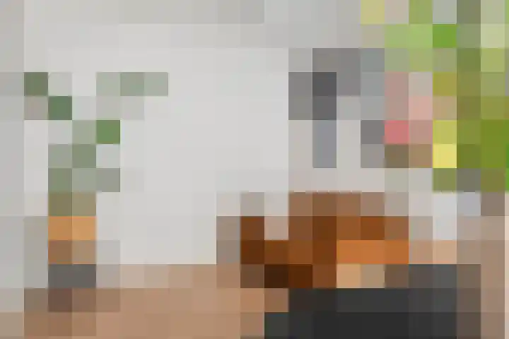 Molenstraatje 41 Tiel thumbnail 18