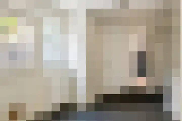 Molenstraatje 41 Tiel thumbnail 30