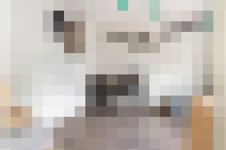 Molenstraatje 41 Tiel thumbnail 31
