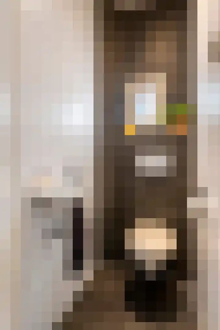 Molenstraatje 41 Tiel thumbnail 34