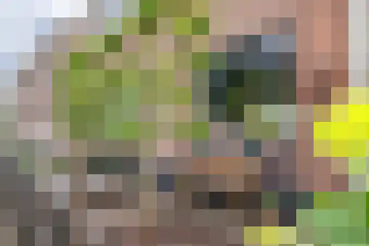 Molenstraatje 41 Tiel thumbnail 4