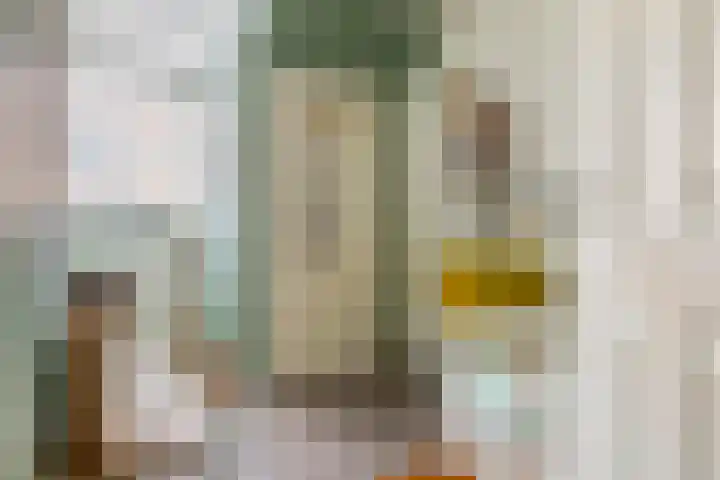 Molenstraatje 41 Tiel thumbnail 41