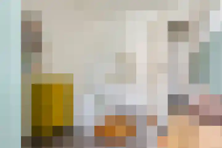 Molenstraatje 41 Tiel thumbnail 42