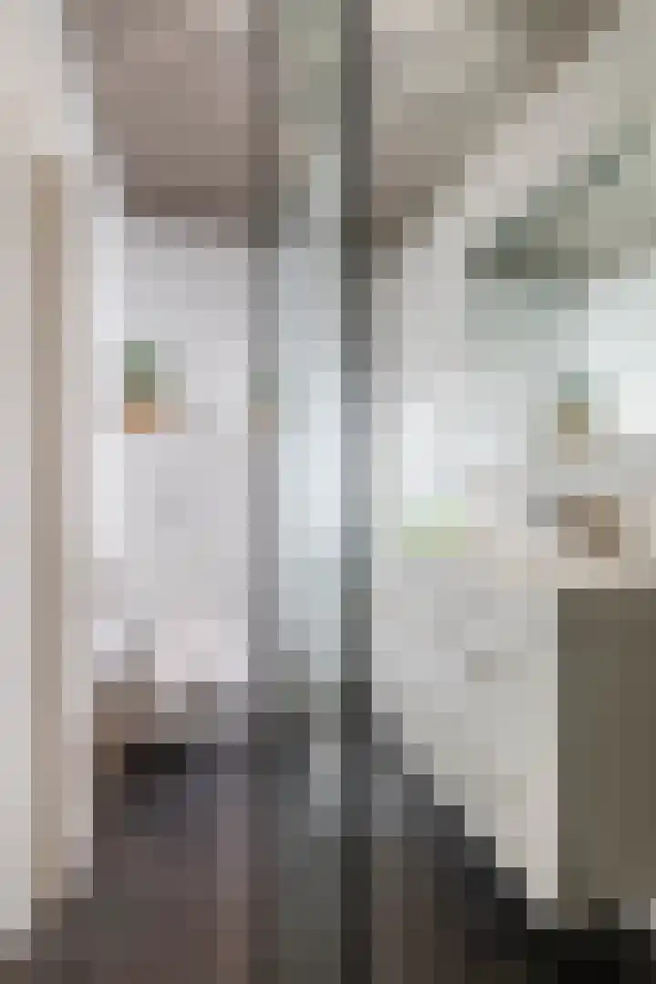 Molenstraatje 41 Tiel thumbnail 44