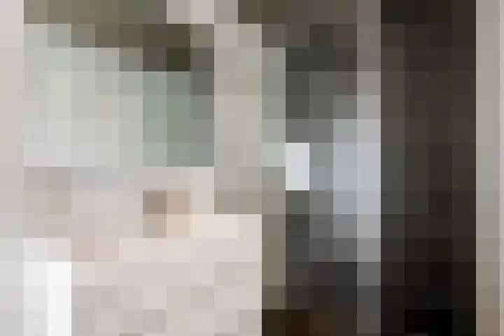 Molenstraatje 41 Tiel thumbnail 45