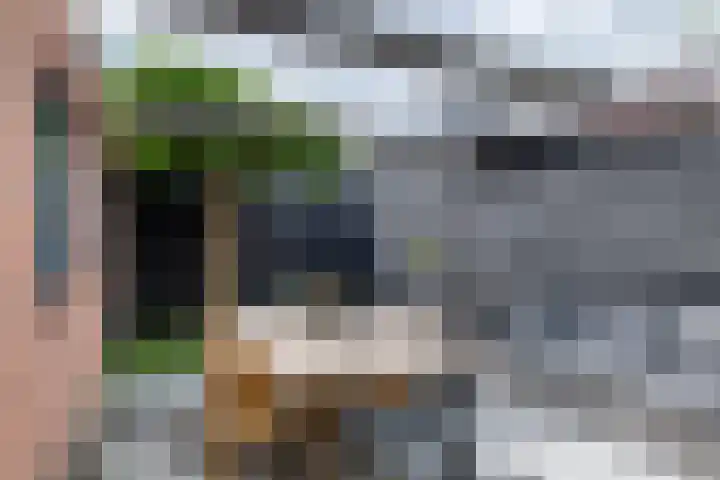 Molenstraatje 41 Tiel thumbnail 48
