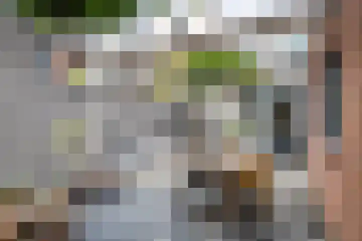 Molenstraatje 41 Tiel thumbnail 50