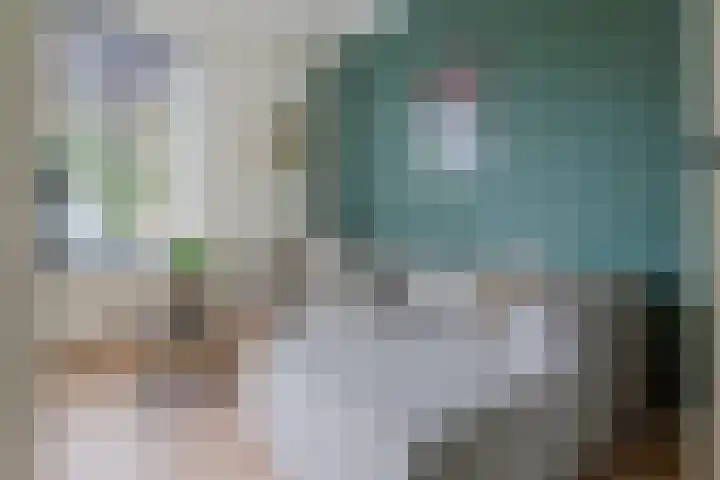 Molenstraatje 41 Tiel thumbnail 6