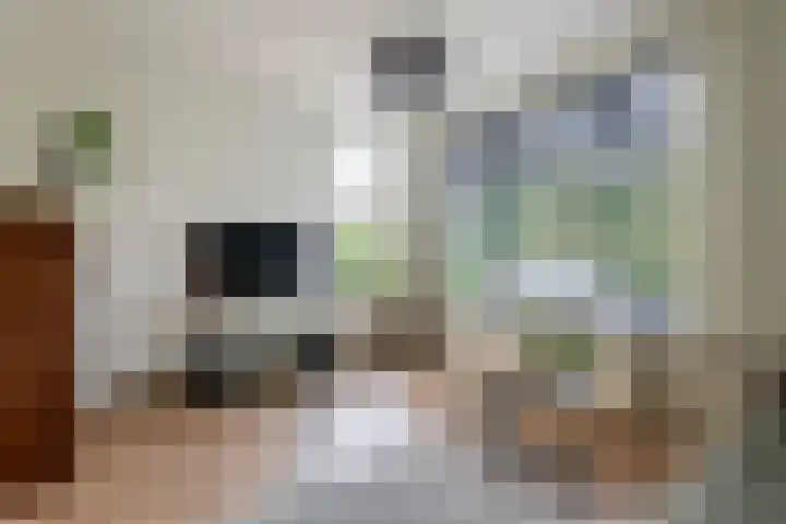 Molenstraatje 41 Tiel thumbnail 7