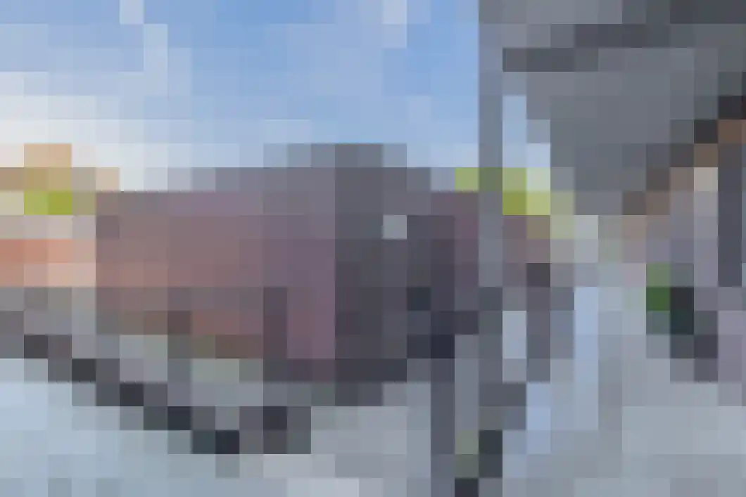 Molenstreek 11 02 Veendam thumbnail 12