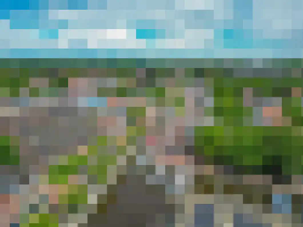 Molenstreek 11 02 Veendam thumbnail 37