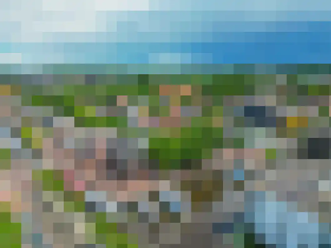 Molenstreek 11 02 Veendam thumbnail 38
