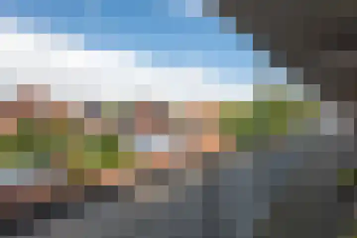 Molenstreek 11 22 Veendam thumbnail 24
