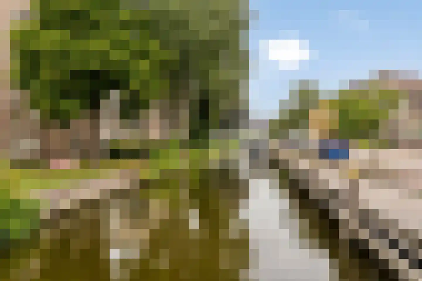 Molenstreek 190 11 Veendam thumbnail 39
