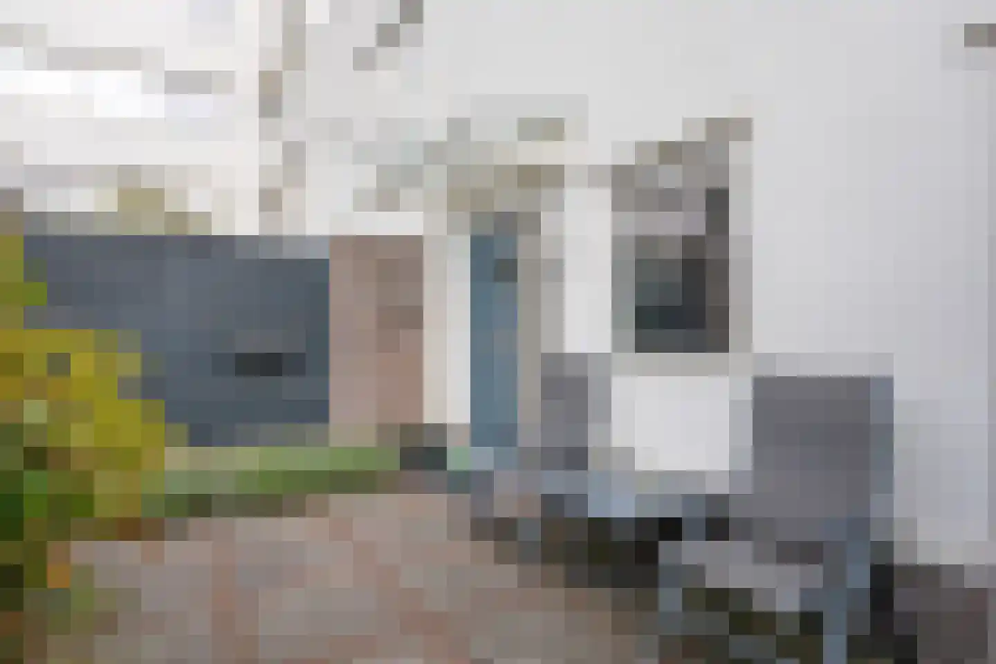 Molenstreek 24 Veendam thumbnail 36