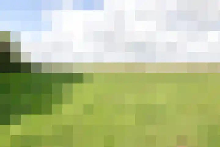 Molenstreek 5 Lutjegast thumbnail 10