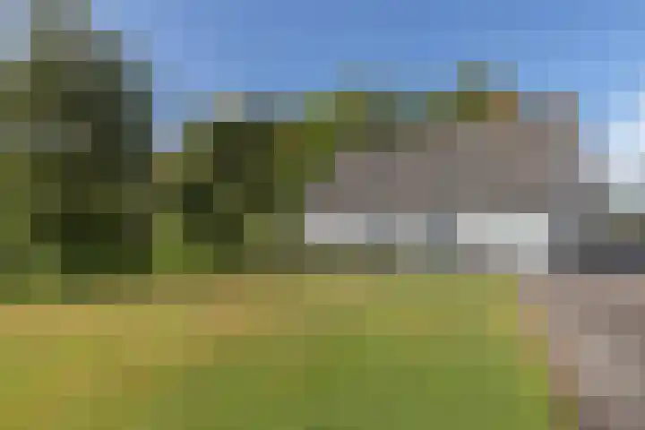 Molenstreek 5 Lutjegast thumbnail 11