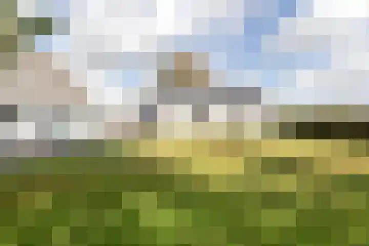 Molenstreek 5 Lutjegast thumbnail 12