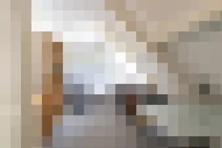 Molenstreek 5 Lutjegast thumbnail 32