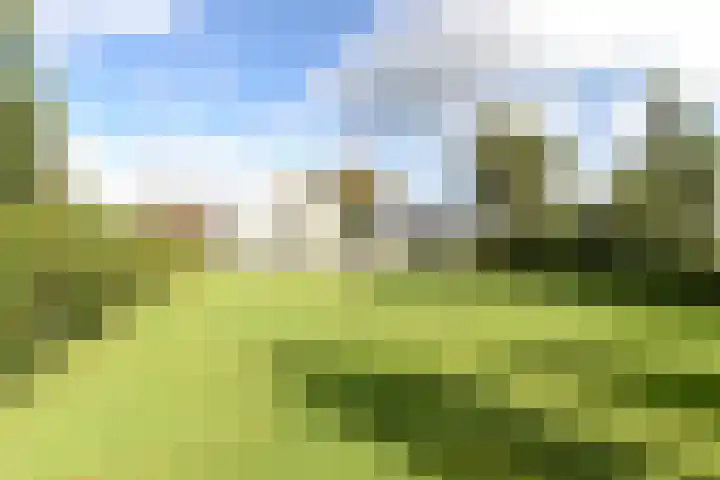Molenstreek 5 Lutjegast thumbnail 37