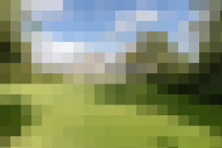 Molenstreek 5 Lutjegast thumbnail 38