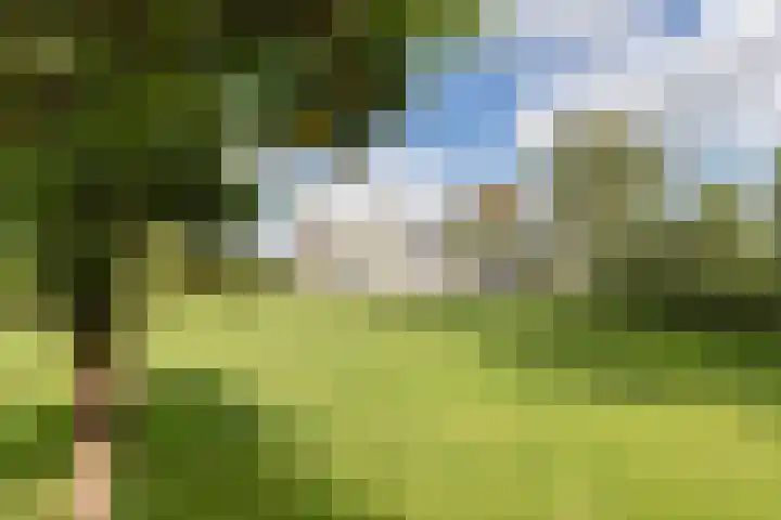 Molenstreek 5 Lutjegast thumbnail 4
