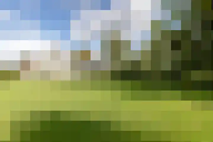 Molenstreek 5 Lutjegast thumbnail 5