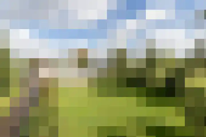 Molenstreek 5 Lutjegast thumbnail 6