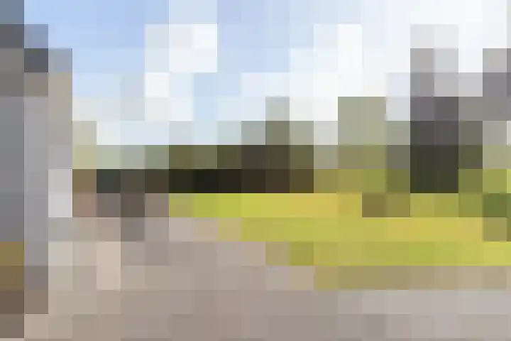 Molenstreek 5 Lutjegast thumbnail 9