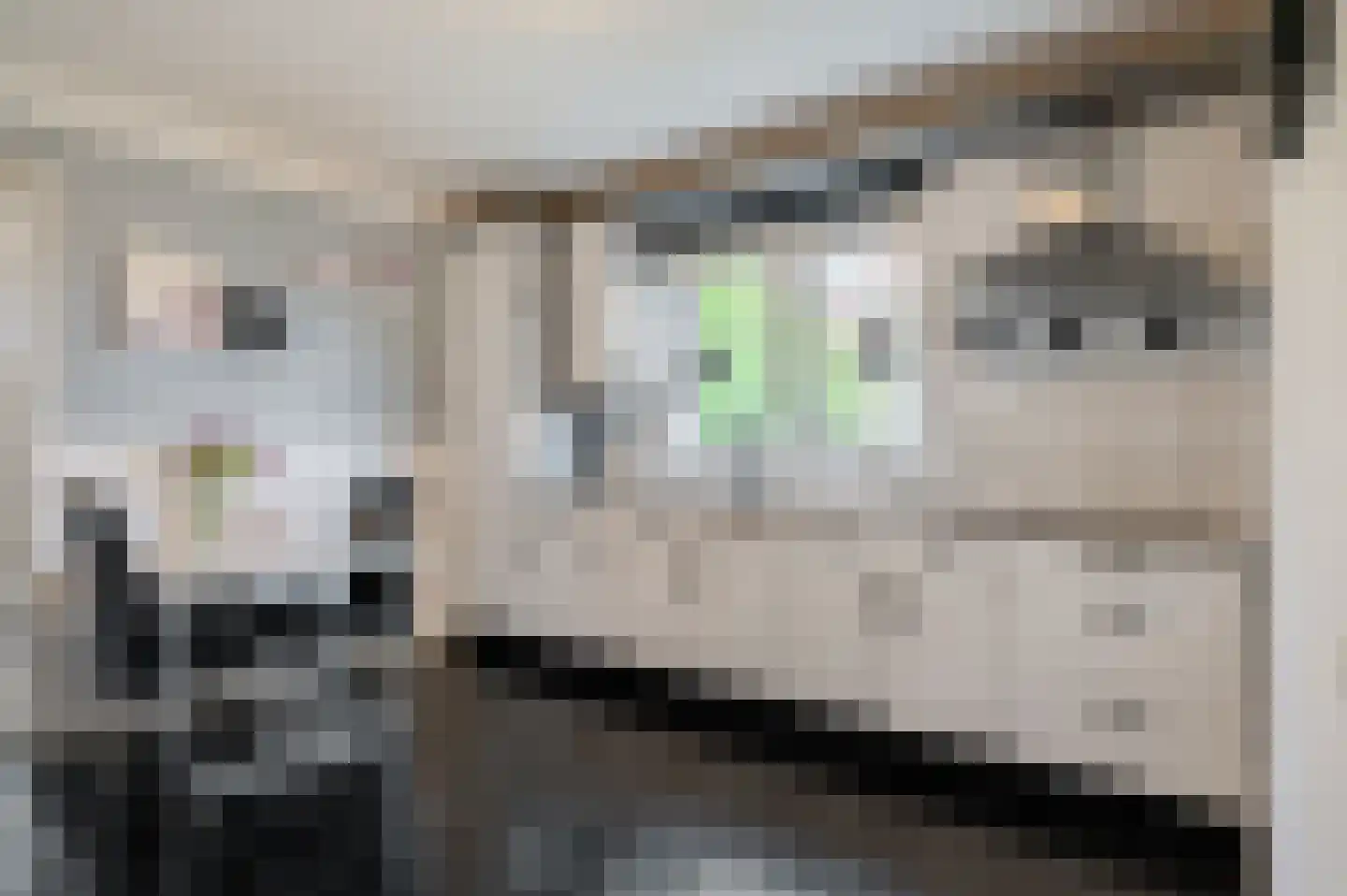 Molenstreek 6 Finsterwolde thumbnail 22