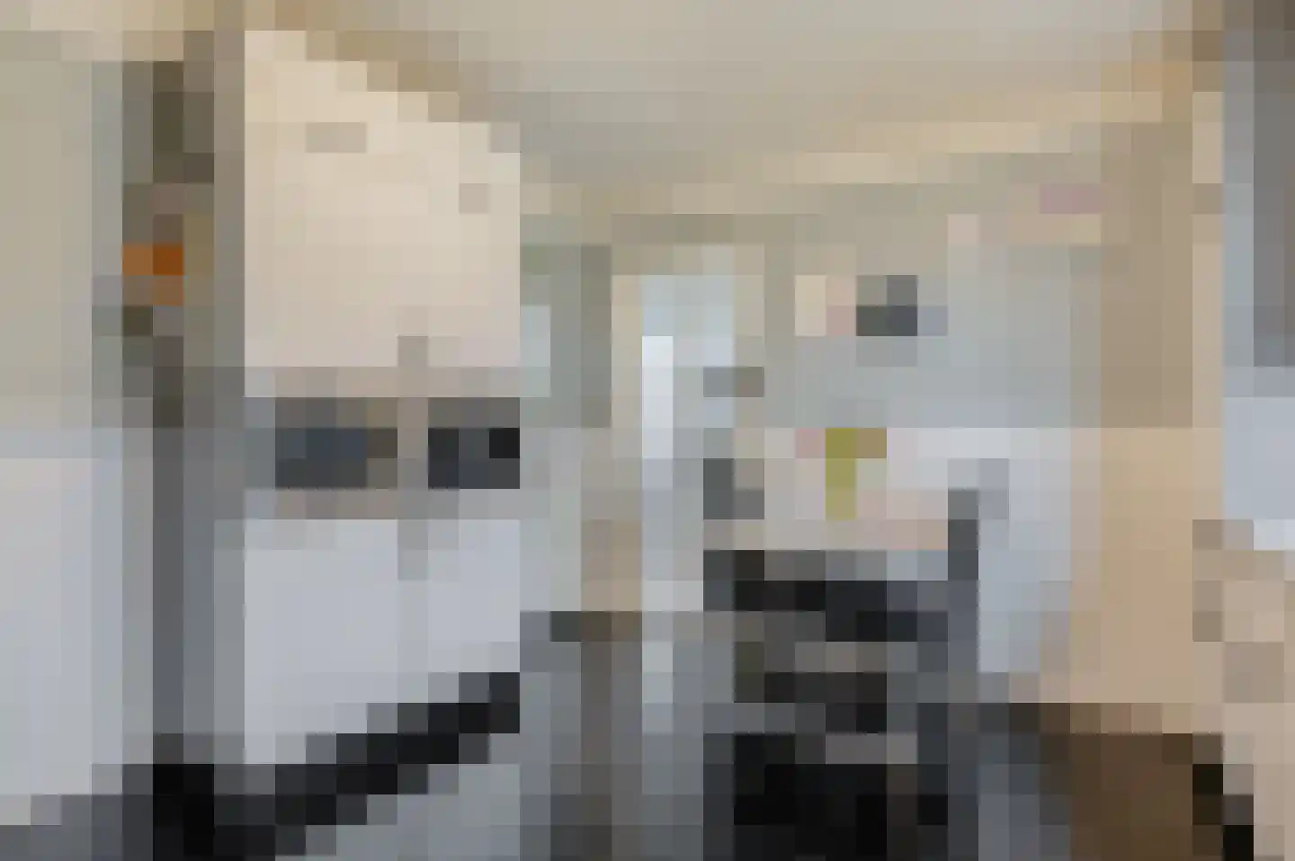 Molenstreek 6 Finsterwolde thumbnail 23