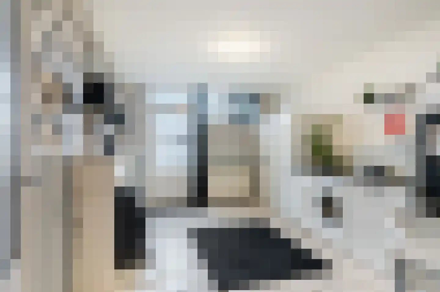 Molenstreek 6 Finsterwolde thumbnail 25
