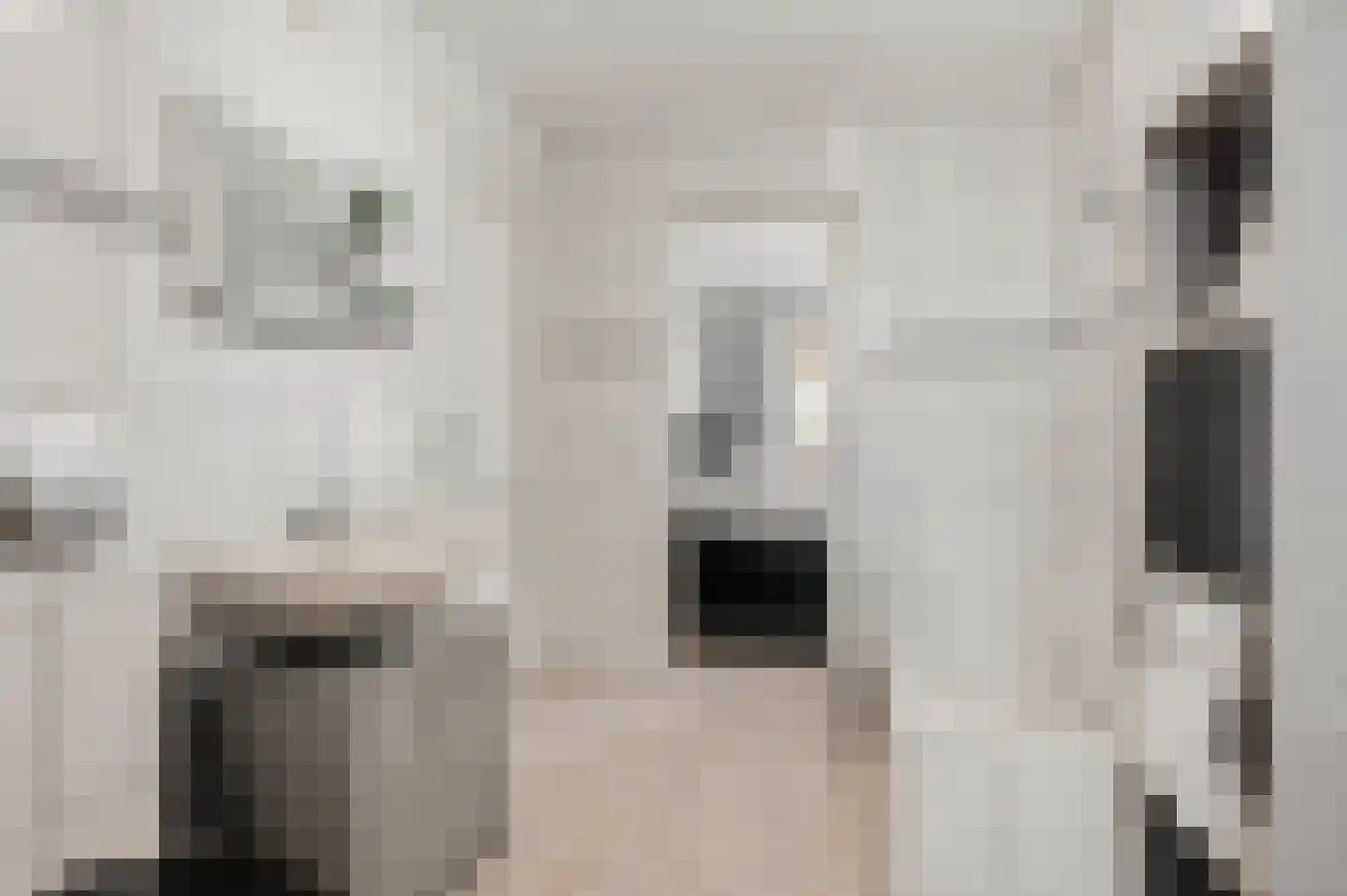 Molenstreek 6 Finsterwolde thumbnail 30