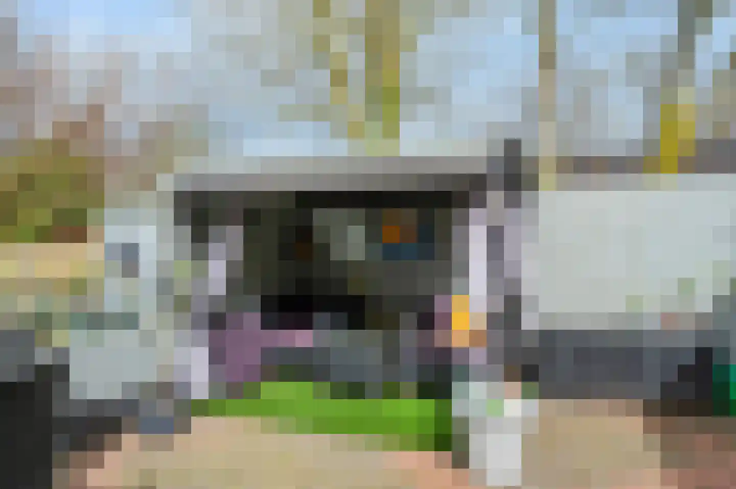 Molenstreek 6 Finsterwolde thumbnail 44