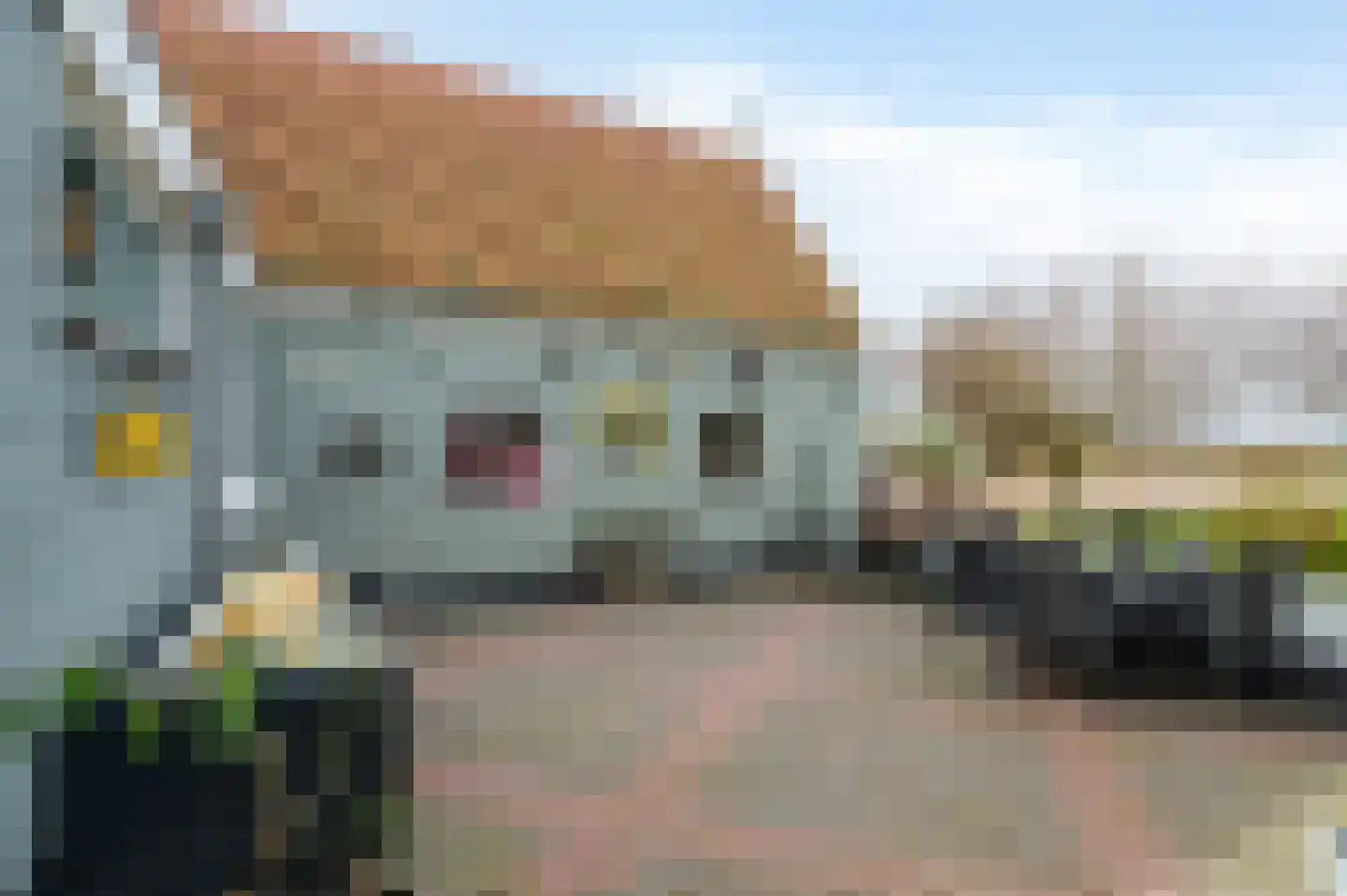 Molenstreek 6 Finsterwolde thumbnail 45