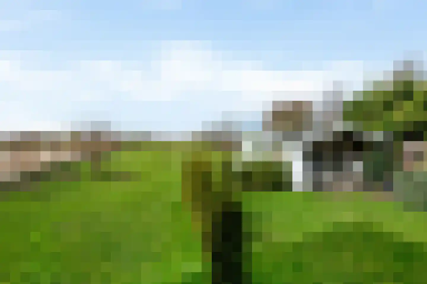 Molenstreek 6 Finsterwolde thumbnail 47