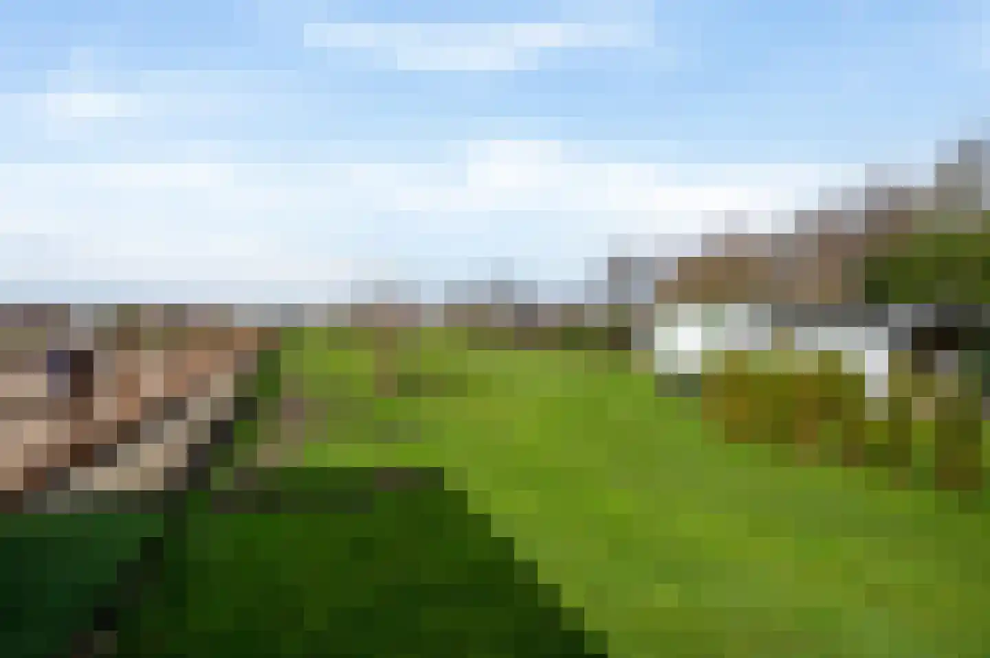 Molenstreek 6 Finsterwolde thumbnail 50