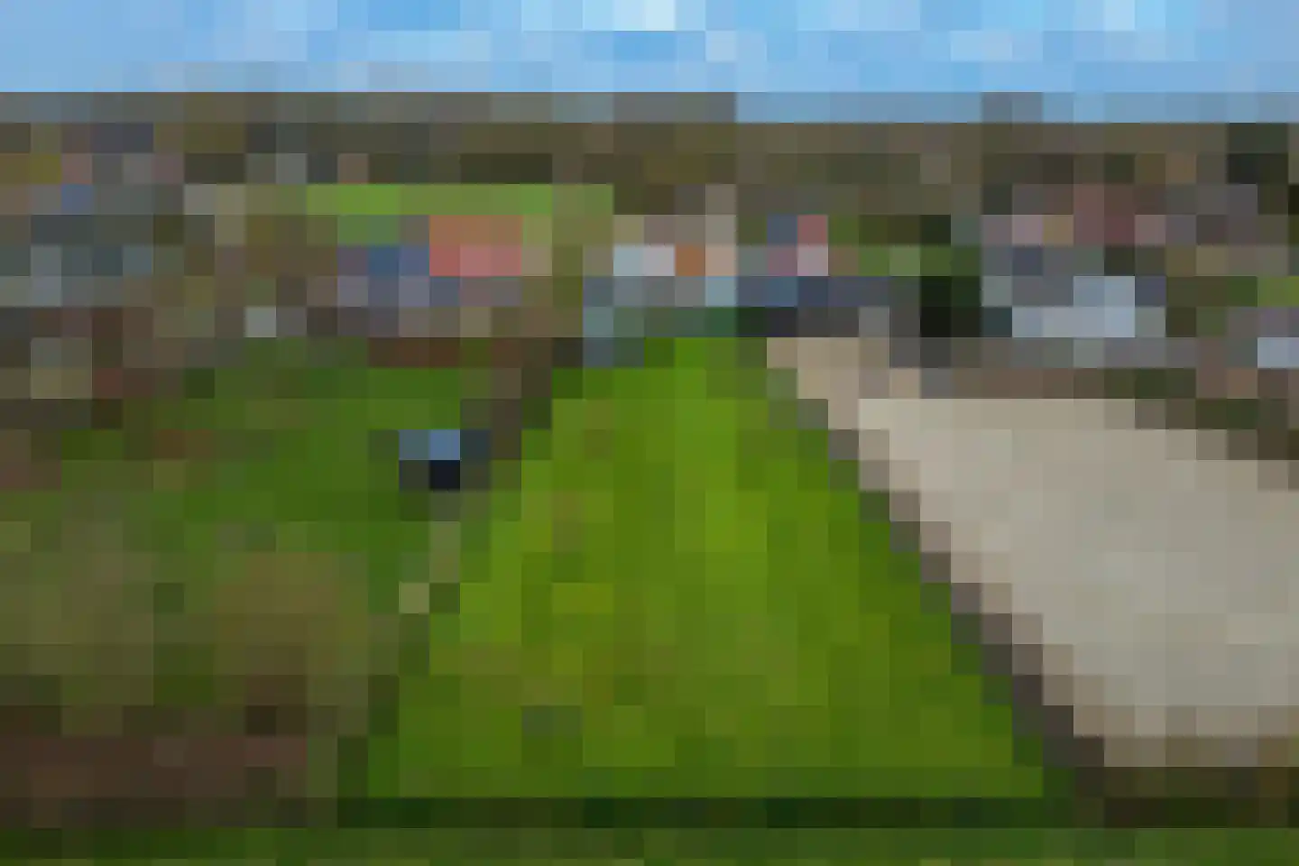 Molenstreek 6 Finsterwolde thumbnail 59