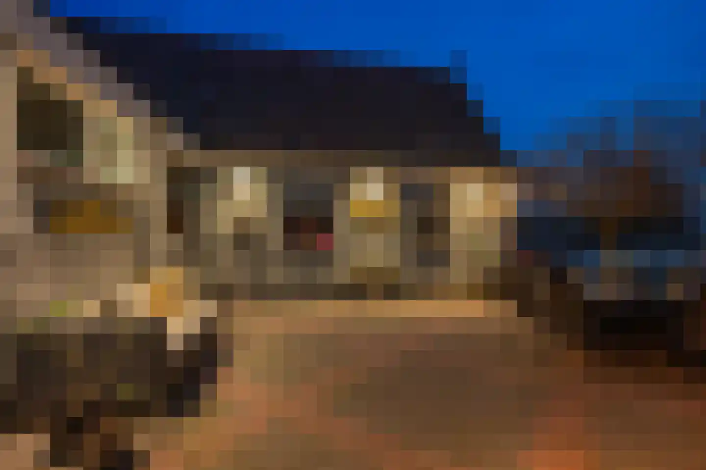 Molenstreek 6 Finsterwolde thumbnail 67