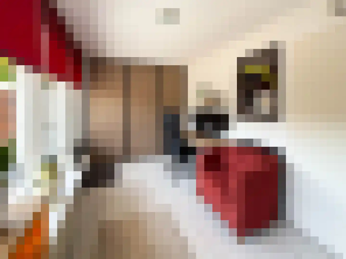 Molentienden 50 Ouddorp thumbnail 23