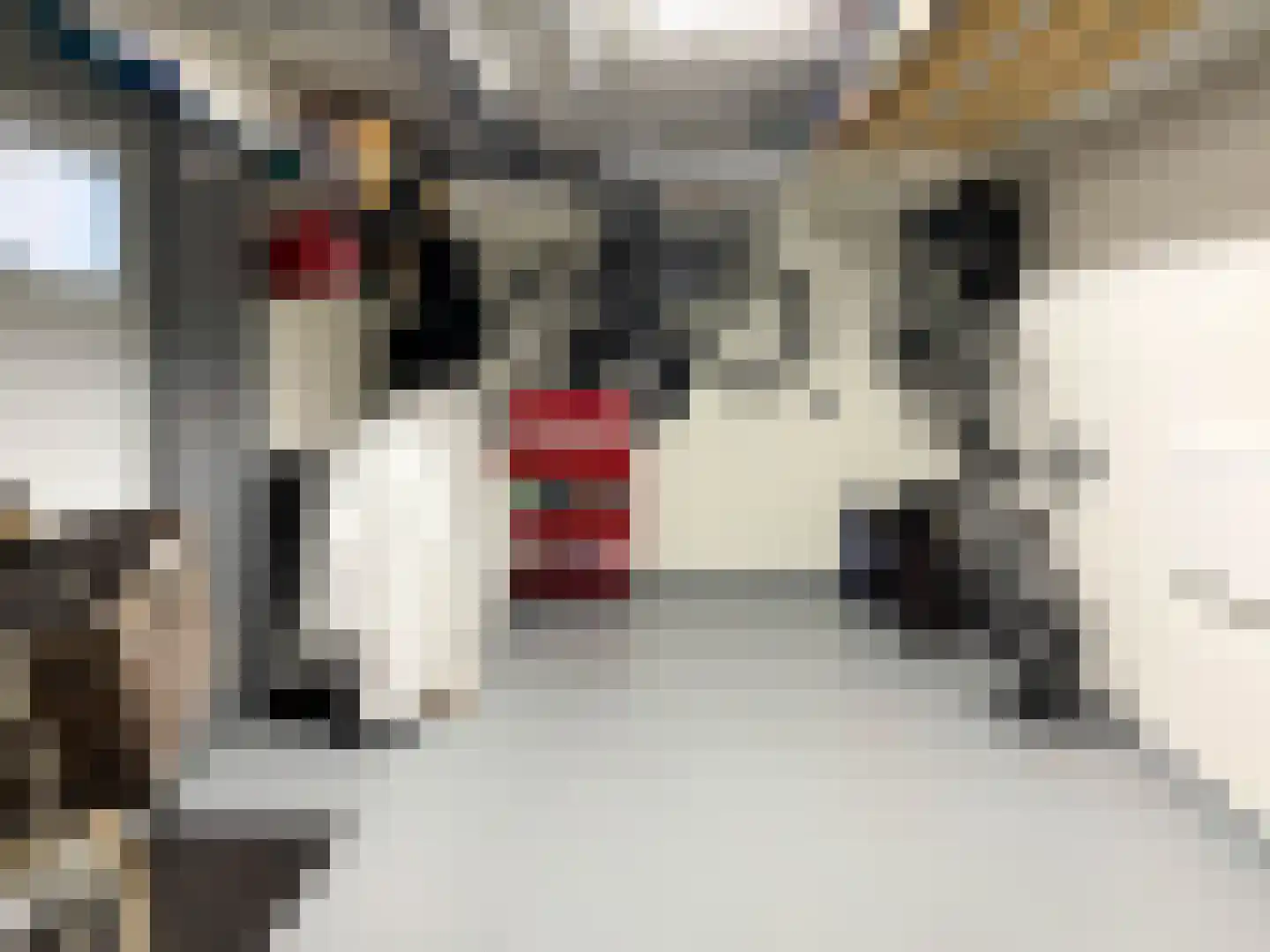 Molentienden 50 Ouddorp thumbnail 24