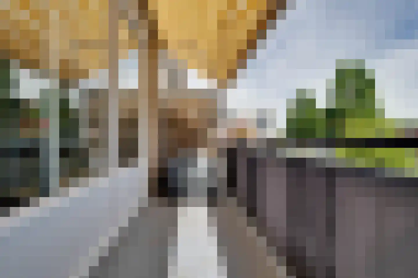 Molentienden 50 Ouddorp thumbnail 5