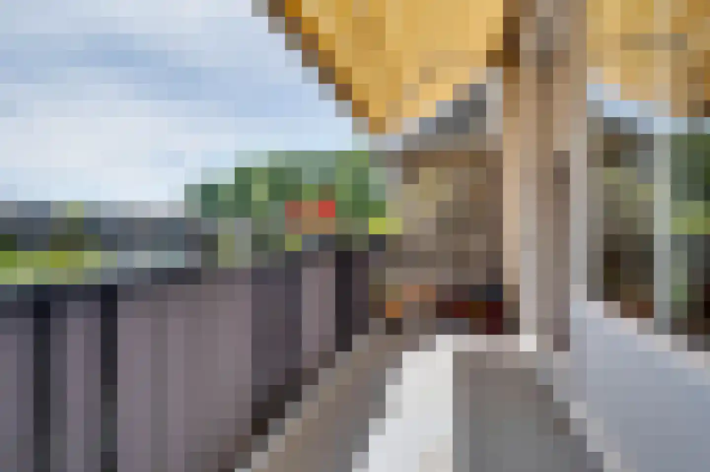 Molentienden 50 Ouddorp thumbnail 9