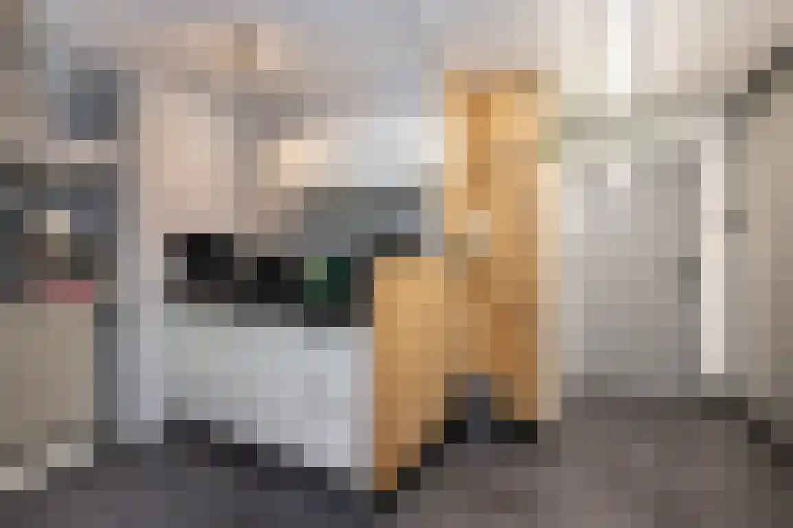 Molentienden 73 Ouddorp thumbnail 10